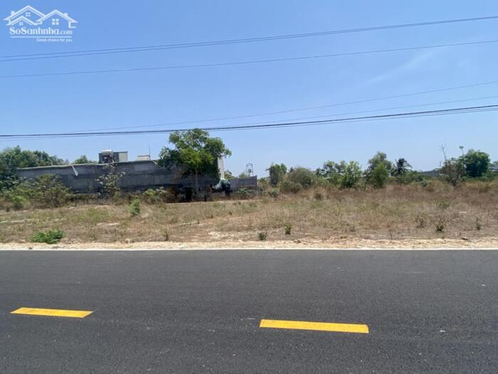 Hình ảnh bán gấp 8x38 mặt tiền Ngô Tất Tố, Cam Bình, Tân Phước, LaGi. Full thổ cư 1