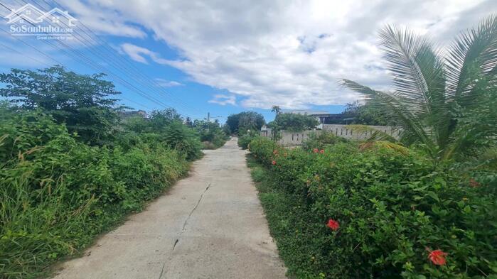 Hình ảnh bán đất thôr cư gần biển cam bình 12x40, phan chu trinh, tân phước, lagi 1