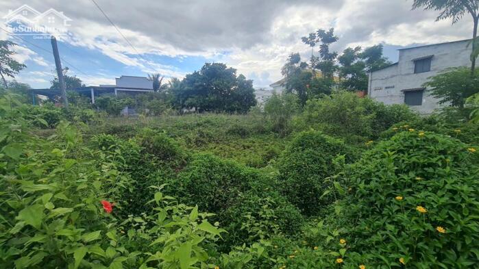 Hình ảnh bán đất thôr cư gần biển cam bình 12x40, phan chu trinh, tân phước, lagi 2