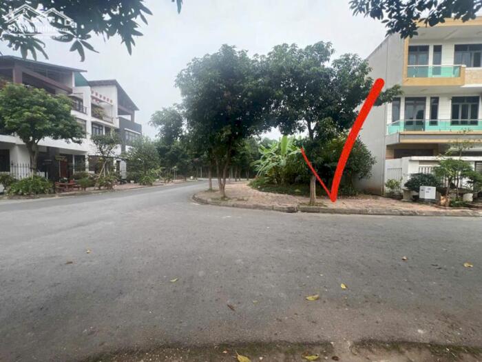 Hình ảnh BÁN CỰC PHẨM LÔ GÓC, NAM ĐẦM VẠC, VĨNH YÊN. DT 125,6m2 0