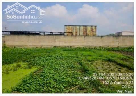 Hình ảnh Đất thổ cư mặt tiền Võ Thị Du-Tân Thông Hội-Củ Chi.Dt 33x22~713m2~5,5ty 0