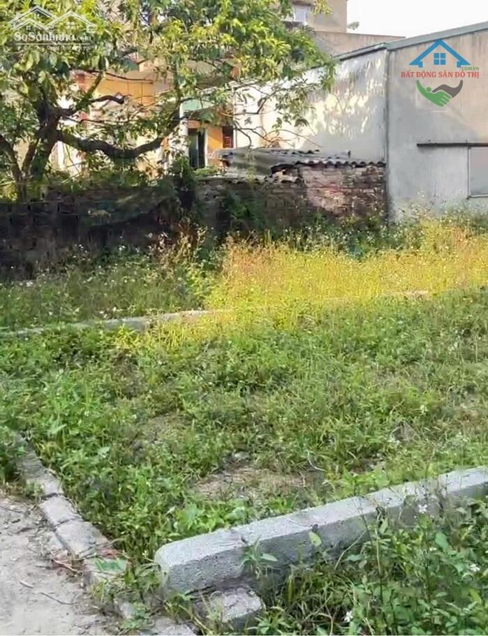 Hình ảnh Bán đất Cao Xá Cao Dương Thanh Oai, 55m2 nở Hậu, Gần ngã tư Vác, nhỉnh 2 tỷ 1