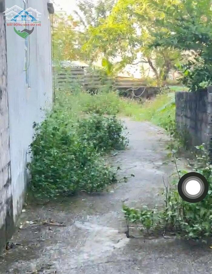 Hình ảnh Bán đất Cao Xá Cao Dương Thanh Oai, 55m2 nở Hậu, Gần ngã tư Vác, nhỉnh 2 tỷ 0