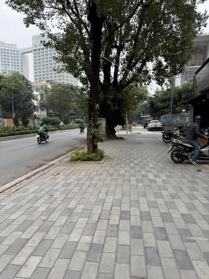 Hình ảnh Bán Nhà Mặt Phố Lạc Long Quân Tây Hồ 155m2-5T MT8m Vỉa Hè Khủng 155 Tỷ Lạc Long Quân. 4