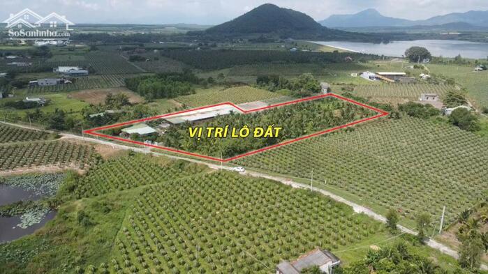 Hình ảnh bán gấp 10950m2 có sẵn 200m2 thổ cư, hẻm đinh công tráng, tân tiến, lagi. giá rẻ chỉ 500/1m2 1