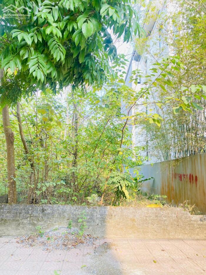 Hình ảnh Bán đất khu Đồng Nưa, Định Trung, Vĩnh Yên, Vĩnh Phúc. DT 120m2, Mt6m, tây nam 3