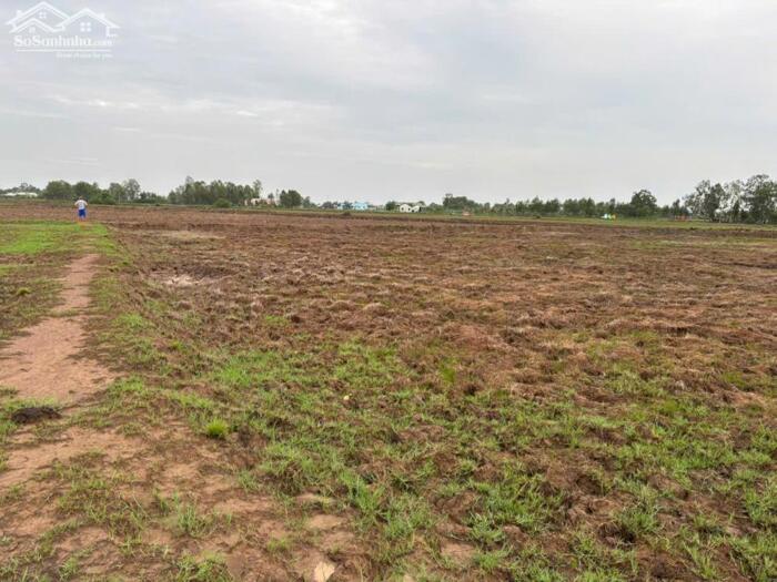 Hình ảnh Đất lúa 600m2 Óc Đảo xã Long Hựu thích hợp cho khách tài chính thấp mua để dành chỉ 270tr 2