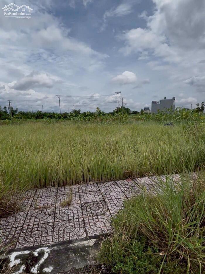 Hình ảnh Đất nền giá rẻ xả cuối năm 81m2 kdc Tân Lân 5 Hiệp rẻ 650tr 2