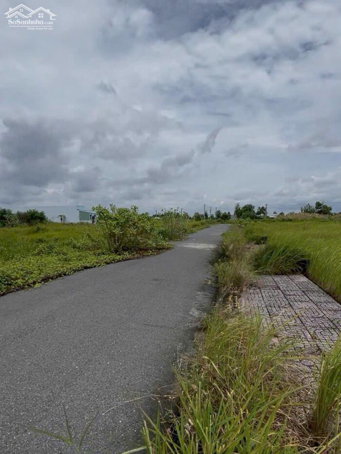 Hình ảnh Đất nền giá rẻ xả cuối năm 81m2 kdc Tân Lân 5 Hiệp rẻ 650tr 1