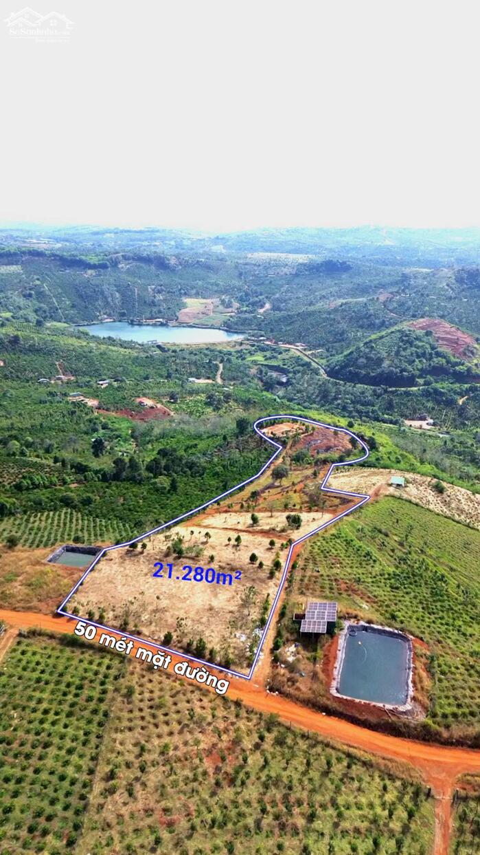 Hình ảnh Rẫy view rừng thông đẹp giá rẻ tại Trường Xuân Đắk Song Lâm Đồng 5