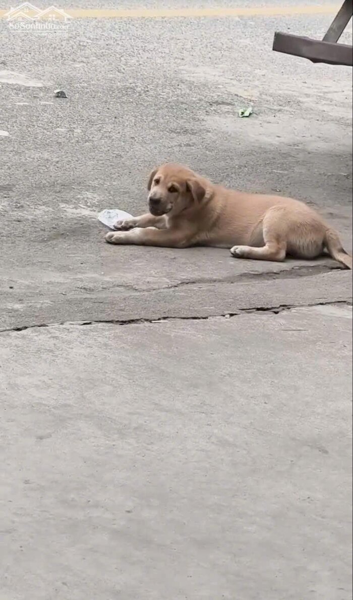 Hình ảnh NHÀ ĐẸP NGAY TRUNG TÂM _ HẢI PHÒNG _ 4 TẦNG _ 3PN _ GIÁ: 7.95 TỶ 0