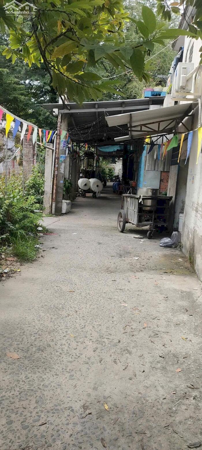 Hình ảnh Nhà nát SHR 2/Tân Tiến 4-Xuân Thới Đông-Hóc Môn.Dt 11,5x22~250m2~4,5ty 3