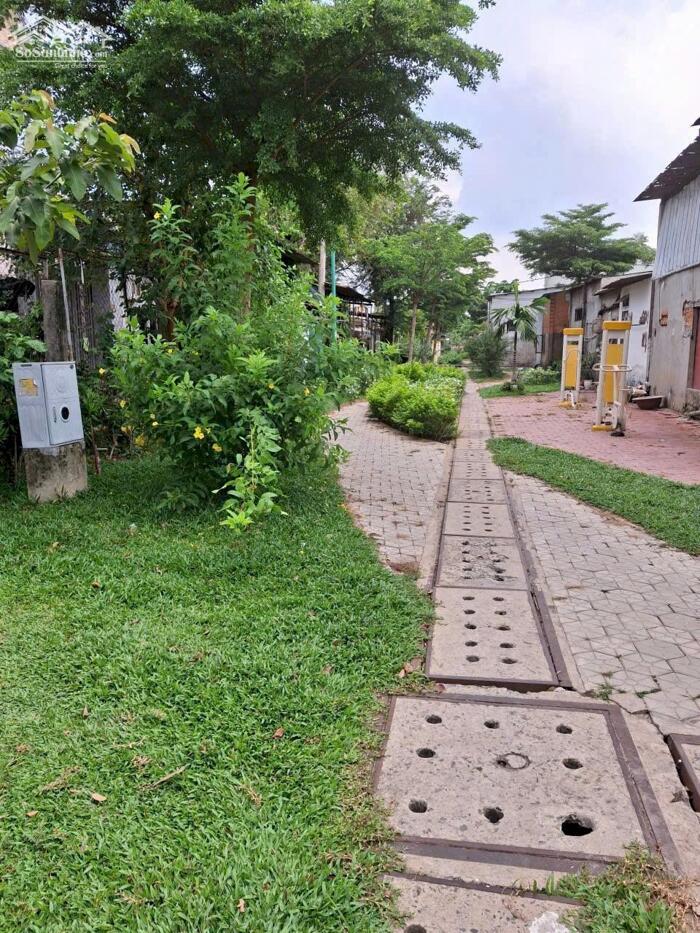 Hình ảnh Nhà nát SHR 2/Tân Tiến 4-Xuân Thới Đông-Hóc Môn.Dt 11,5x22~250m2~4,5ty 10