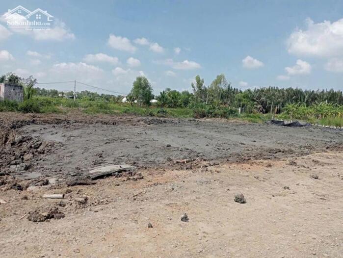 Hình ảnh Nền sót lại 99m2 thổ mt đường 7m xã Tân Chánh giá rẻ công nhân 450tr 4