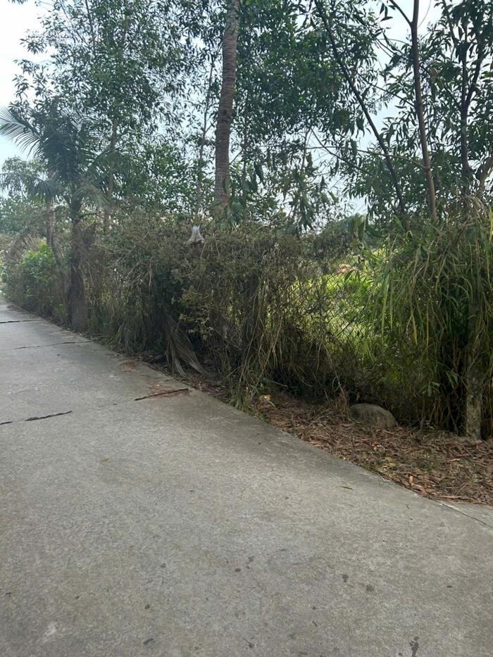 Hình ảnh 21X61(1305M2) Hẻm Nguyễn Du Tân Phước LaGi Gần Biển Giá 1.350 Tỷ 1