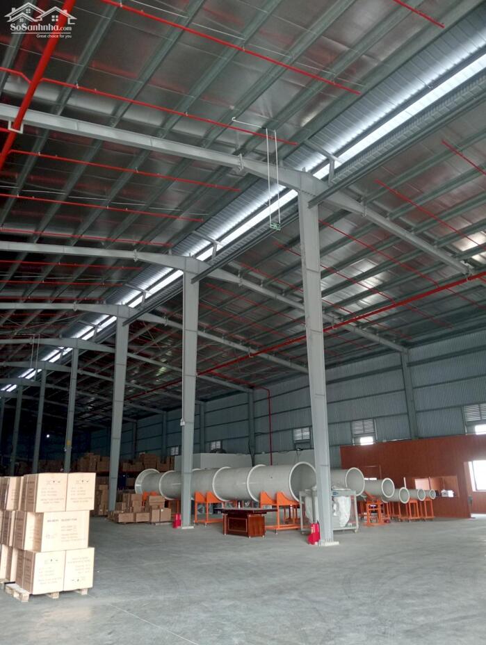 Hình ảnh KHO ĐỘC LẬP 3200m² CHO THUÊ Tại KCN QUANG MINH, HÀ NỘI 1