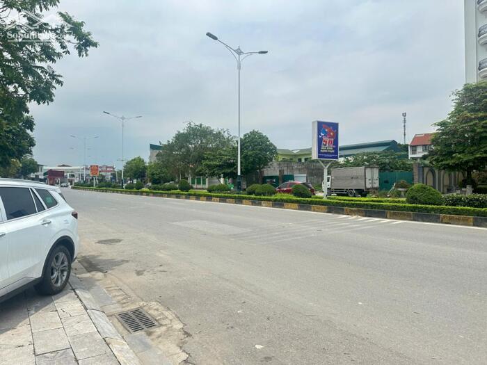 Hình ảnh Bán lô góc đất thương mại dịch vụ đường Nguyễn Tất Thành, Tích Sơn, Vĩnh Phúc. 0