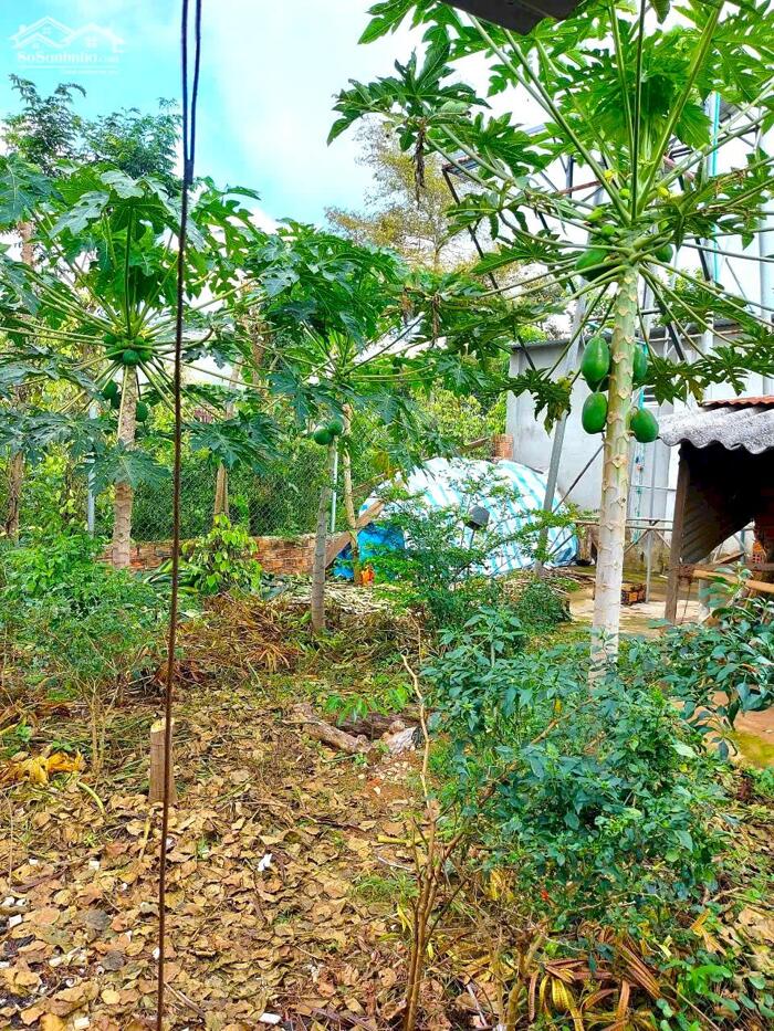 Hình ảnh Nhà đẹp kinh doanh tại Di Linh Lâm Đồng 1