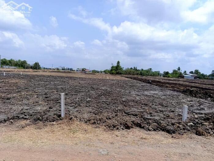 Hình ảnh Đất thổ cư 180m2 mt đường 7m xã Phước Tuy bán xả cuối năm 850tr 3