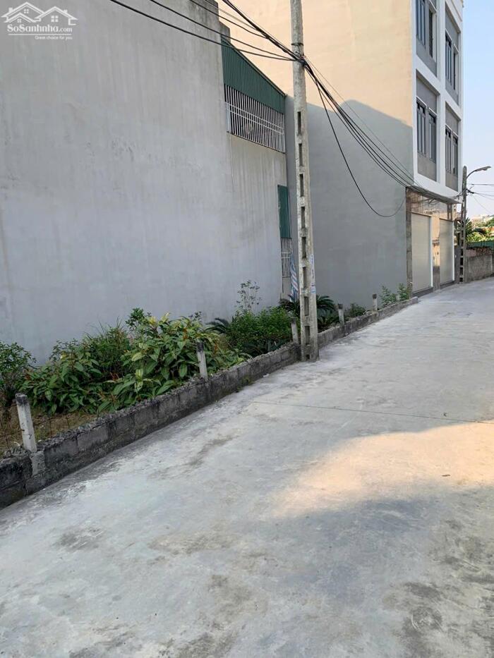 Hình ảnh Bán đất ngõ Lý Anh Tông – lô góc 2 mặt thoáng – nhìn KĐT Ecopark giá 1.2x tỷ 1