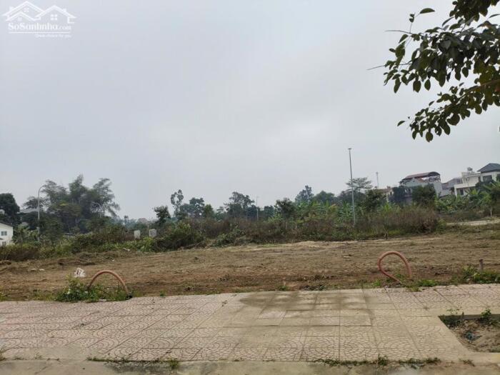 Hình ảnh Bán đất Sau Núi, Hội Hợp, Vĩnh Yên, Vĩnh Phúc. Sau lưng là vườn hoa rộng 0