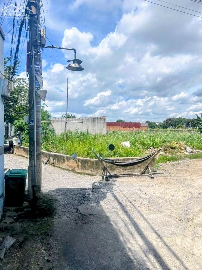 Hình ảnh Đất thổ cư 1/đường 06-Mỹ Hòa 3-Tân Xuân-Hóc Môn.Dt 8x21~170m2~5ty 0