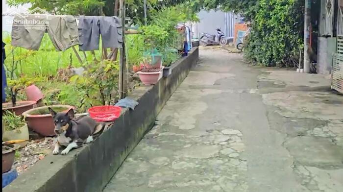 Hình ảnh Đất thổ cư 1/đường 06-Mỹ Hòa 3-Tân Xuân-Hóc Môn.Dt 8x21~170m2~5ty 1