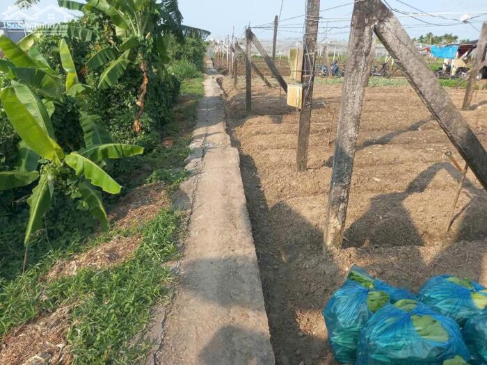 Hình ảnh B.á.n 1,2 công đất thổ vườn tại Phường Long Thuận, TP Gò Công cũ giá 1tr/m2 1