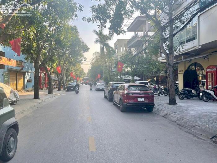 Hình ảnh Bán đất 93m2 có ốt kinh doanh đường Lê Khôi, P. Quang Trung, TP Vinh 1