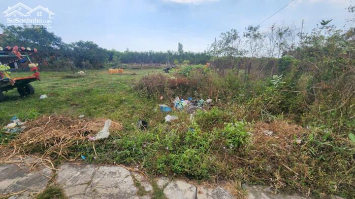 Hình ảnh bán đất 10x34 hẻm trần quang diệu, tân phước, lagi. sẵn 200m2 thổ cư. giá rẻ 3