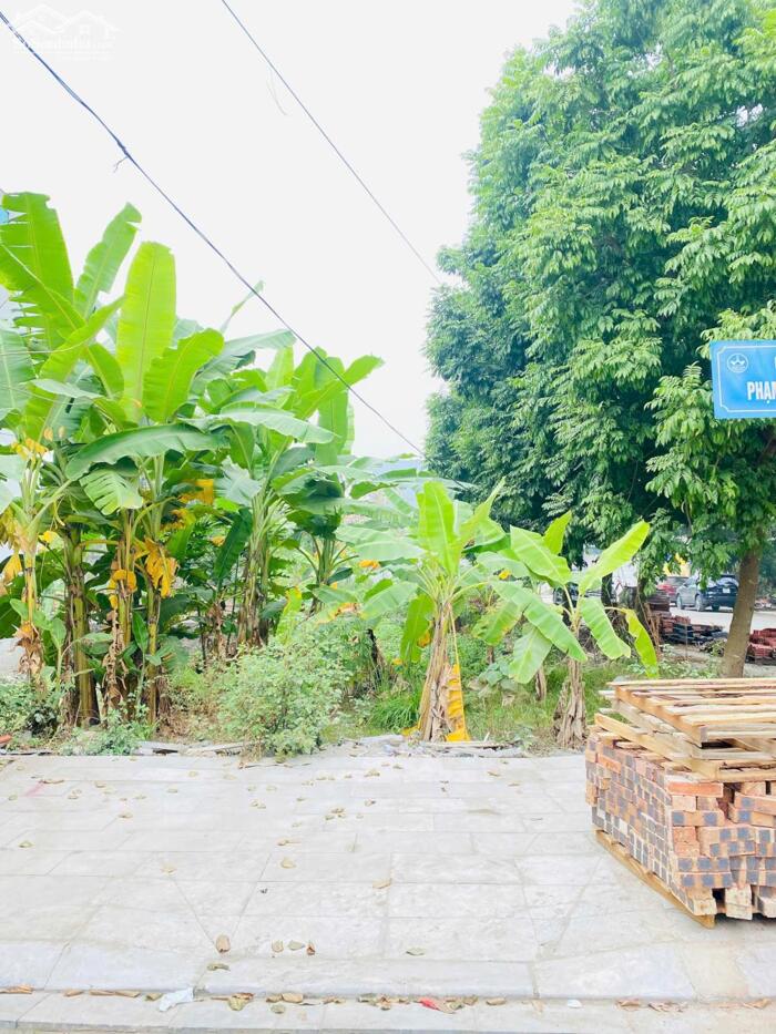 Hình ảnh Bán đất lô góc khu phân lô Sốc Lường, Hội Hợp, Vĩnh Yên. DT 124m2, đường 13,5m 2