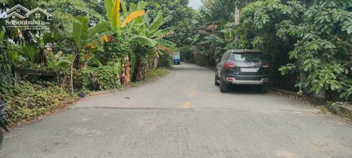 Hình ảnh Kho xưởng mặt tiền Thạnh Lộc 56-Q12.Dt 18x67~1190m2~37ty 4