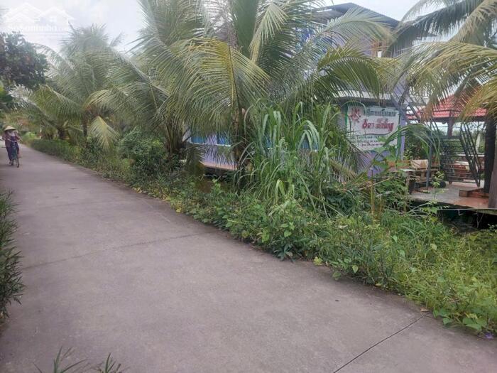 Hình ảnh CHO THUÊ NHÀ VƯỜN MẶT TIỀN LỘ THẺ 24 – VIÊN NGỌC GIỮA LÒNG QUÊ THANH BÌNH - CÓ Bán 2 Tỷ 0