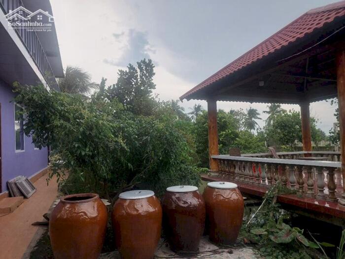 Hình ảnh CHO THUÊ NHÀ VƯỜN MẶT TIỀN LỘ THẺ 24 – VIÊN NGỌC GIỮA LÒNG QUÊ THANH BÌNH - CÓ Bán 2 Tỷ 4