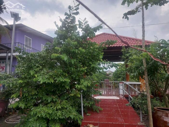 Hình ảnh CHO THUÊ NHÀ VƯỜN MẶT TIỀN LỘ THẺ 24 – VIÊN NGỌC GIỮA LÒNG QUÊ THANH BÌNH - CÓ Bán 2 Tỷ 2