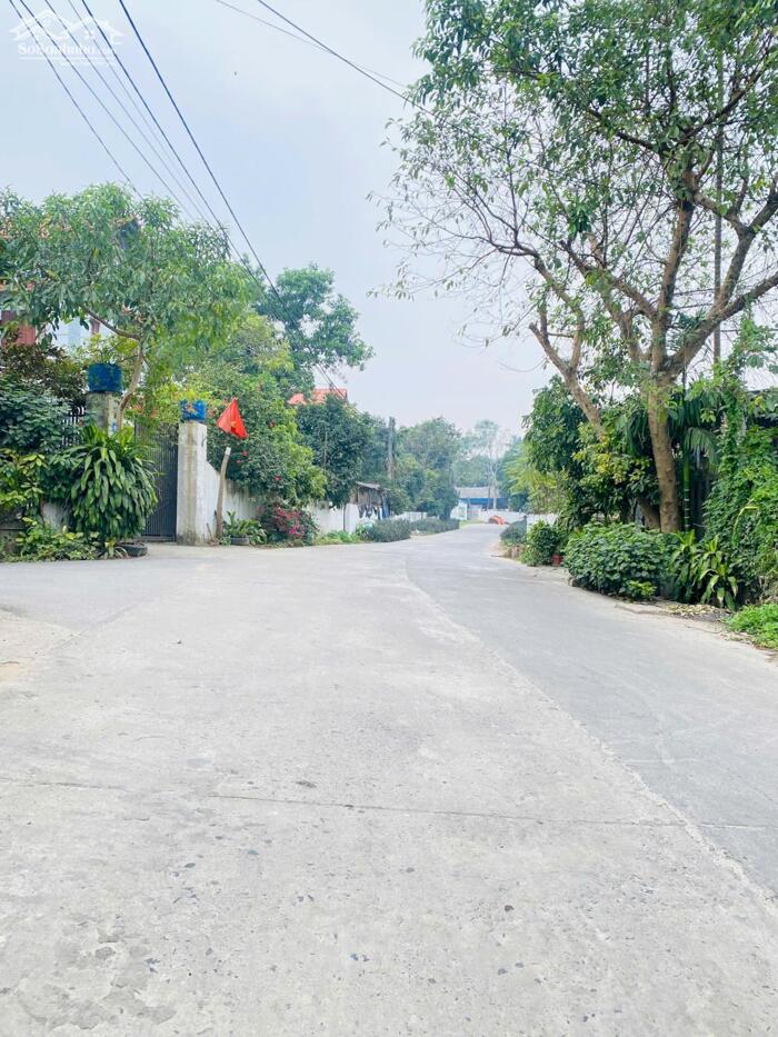 Hình ảnh Bán đất trục đường 24m Park Hill kéo dài tại Xuân Trường, Thanh Vân, Tam Dương. 0