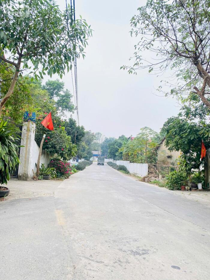 Hình ảnh Bán đất trục đường 24m Park Hill kéo dài tại Xuân Trường, Thanh Vân, Tam Dương. 3