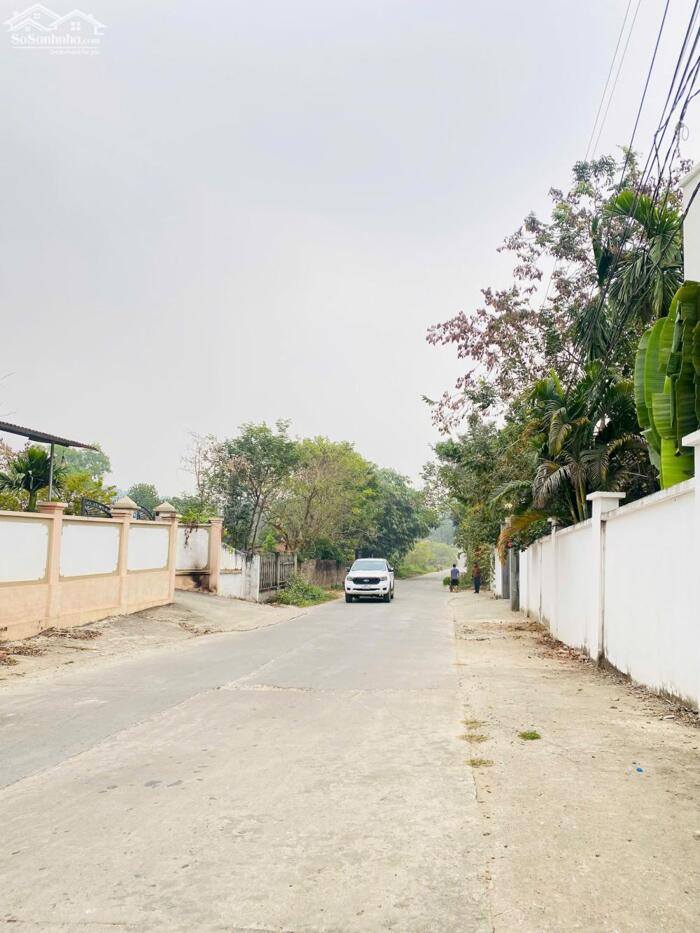 Hình ảnh Bán đất trục đường 24m Park Hill kéo dài tại Xuân Trường, Thanh Vân, Tam Dương. 2