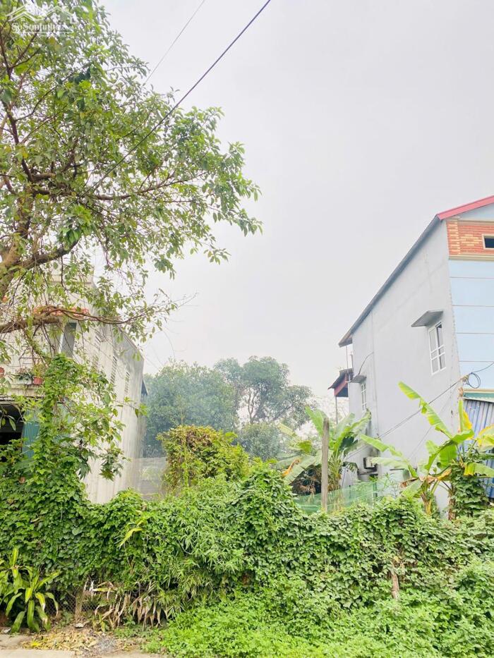 Hình ảnh Bán đất trục đường 24m Park Hill kéo dài tại Xuân Trường, Thanh Vân, Tam Dương. 4