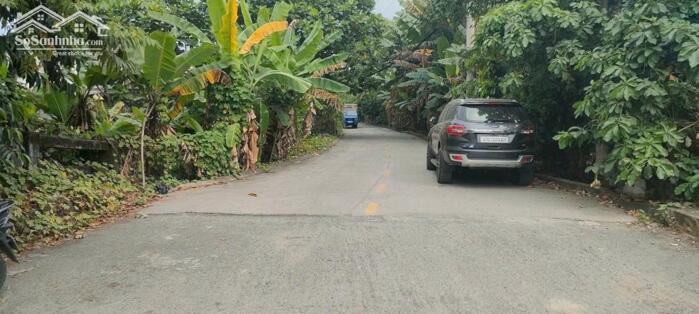 Hình ảnh 4 lô F0 mặt tiền Thạnh Lộc 56-Q12.Dt mỗi lô 4x30~120m2~4,7ty 2