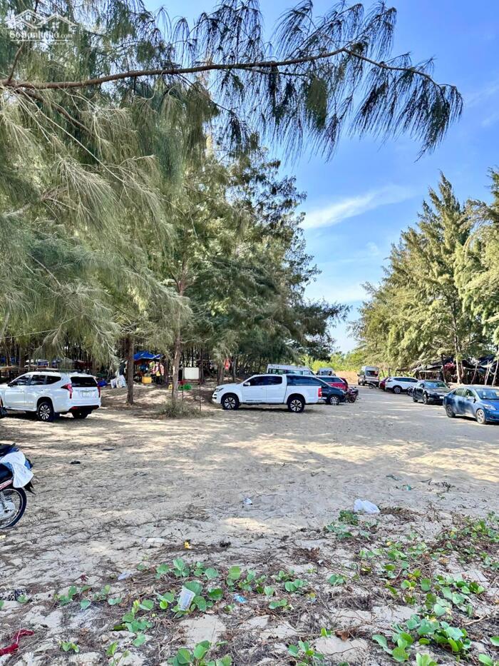 Hình ảnh NGỘP bán nhanh lô đất thổ cư ngay biển Lộc An - BRVT giá 5tr/m2 dân cư đông 0