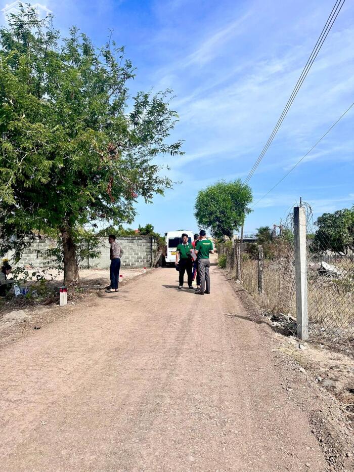 Hình ảnh NGỘP bán nhanh lô đất thổ cư ngay biển Lộc An - BRVT giá 5tr/m2 dân cư đông 1