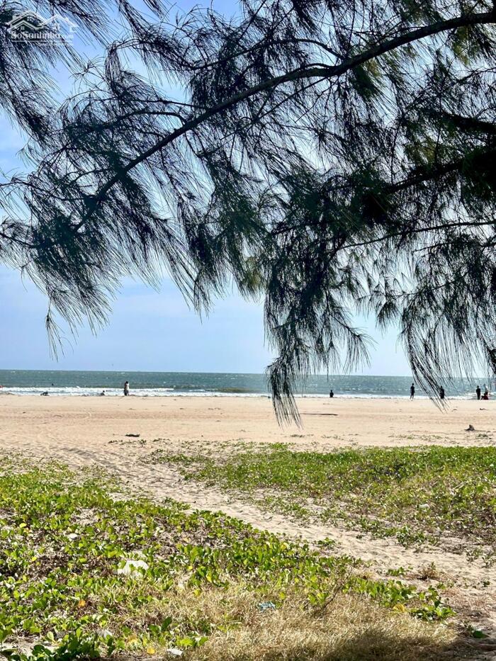 Hình ảnh NGỘP bán nhanh lô đất thổ cư ngay biển Lộc An - BRVT giá 5tr/m2 dân cư đông 3