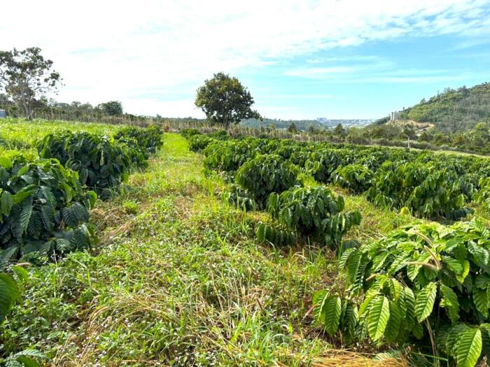 Hình ảnh Rẫy trung tâm Gia Nghĩa sát farm EVA bằng tuyệt đối, có hồ, nghỉ dưỡng tuyệt vời 2