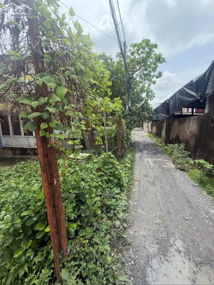 Hình ảnh Nhà nát SHR 1/Nguyễn Thị Thử-Xuân Thới Sơn-Hóc Môn.Dt 226m2~5,5ty 4