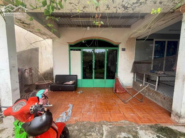 Hình ảnh Nhà nát SHR 1/Nguyễn Thị Thử-Xuân Thới Sơn-Hóc Môn.Dt 226m2~5,5ty 5