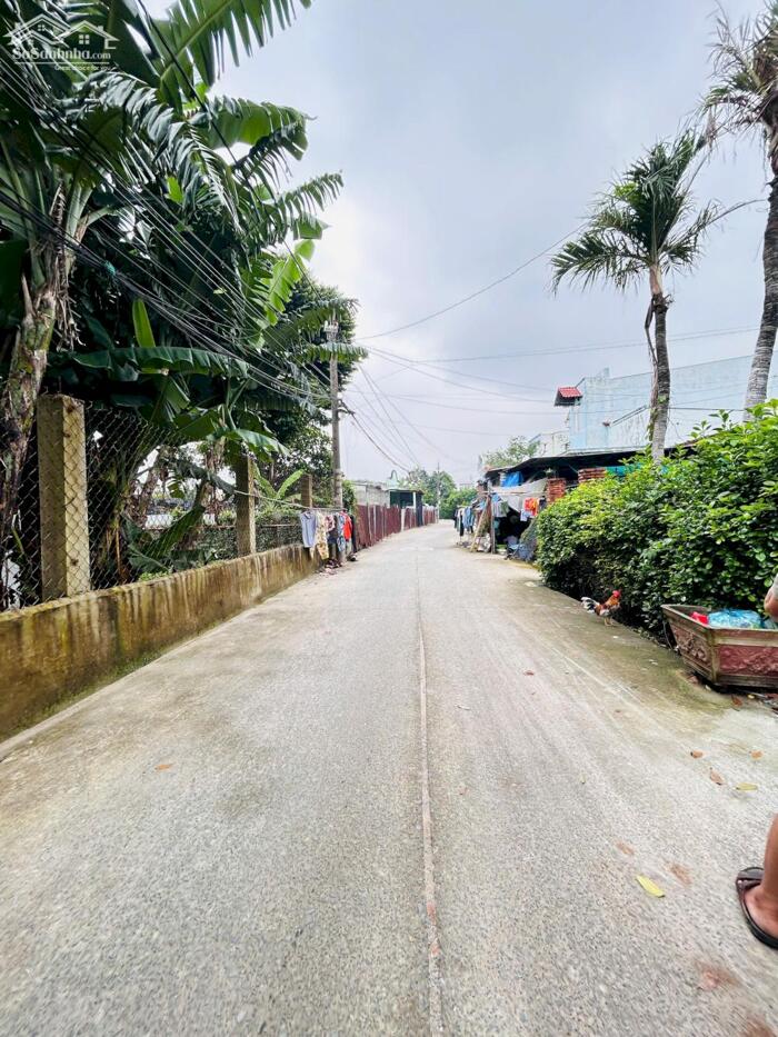 Hình ảnh Nhà SHR mặt tiền Tam Đông 8-Thới Tam Thôn-Hóc Môn.Dt 5x25~123m2~2,5 tấm~6,2ty 1