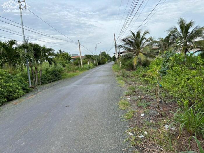 Hình ảnh MUa đất tặng nhà cấp 4 Đảo Long Hựu 256m2 mt đường nhựa 8 mét 1