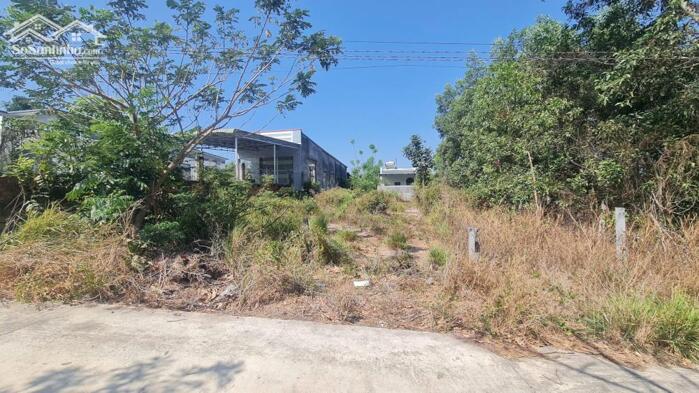 Hình ảnh bán đất 10x31 hẻm Thống Nhất, kp1, Tân An, LaGi, Bình Thuận. giá rẻ đường ô tô 1