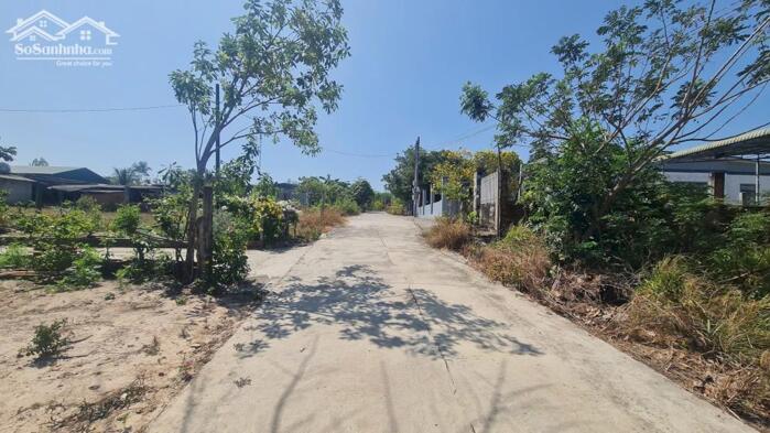 Hình ảnh bán đất 10x31 hẻm Thống Nhất, kp1, Tân An, LaGi, Bình Thuận. giá rẻ đường ô tô 0
